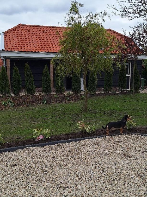 Gastenhuis Amstelmeerzicht. Westerland Экстерьер фото